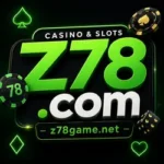 Z78 Game