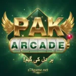PakArcade Game