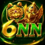 6NN Game