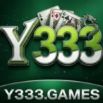 Y333 Game
